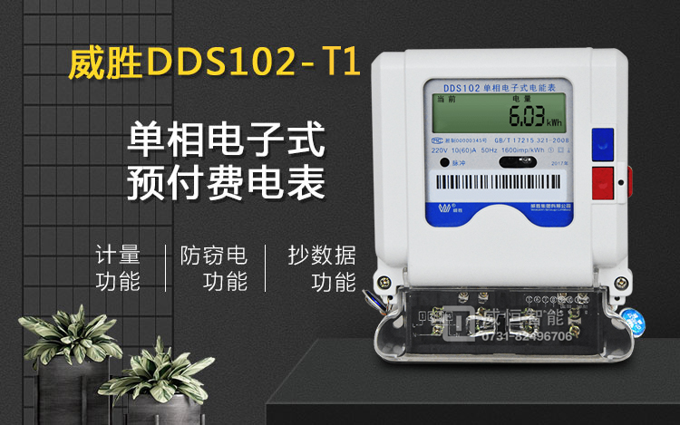 长沙威胜DDS102预付费电表配套抄表系统